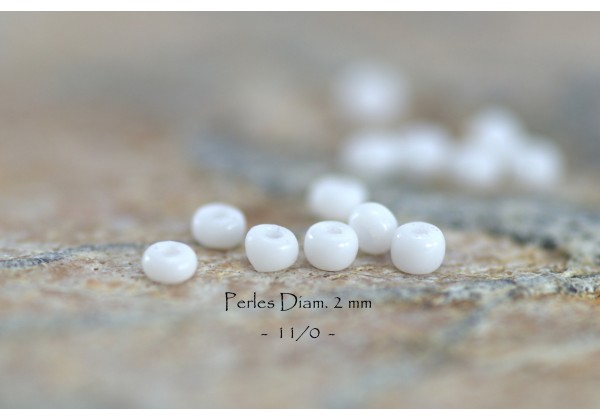 Perles Rocaille